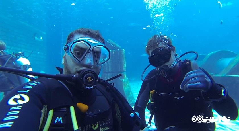سرگرمی غواصی در دبی شهر امارات متحده عربی کشور دبی