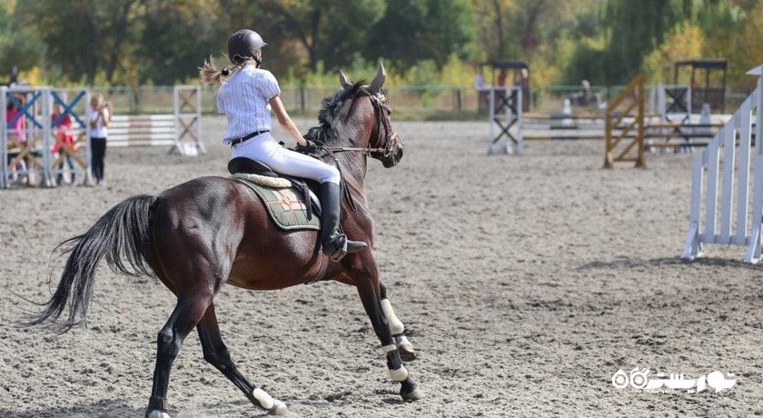 اسب سواری دبی -  شهر دبی