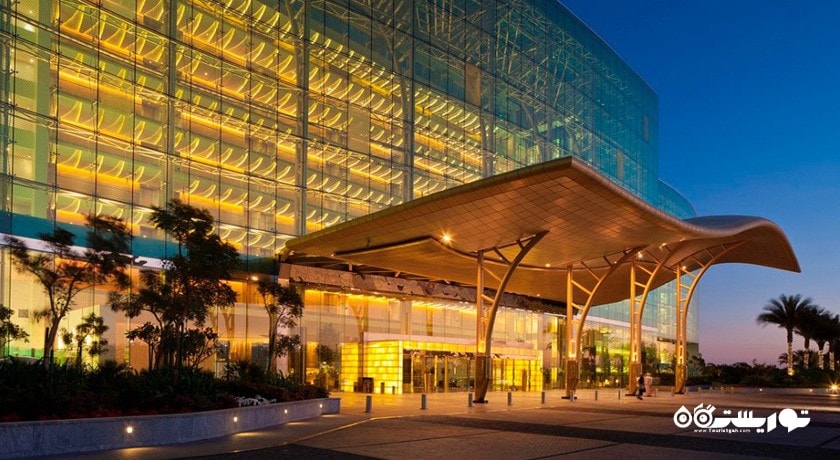 اسب سواری دبی -  شهر دبی