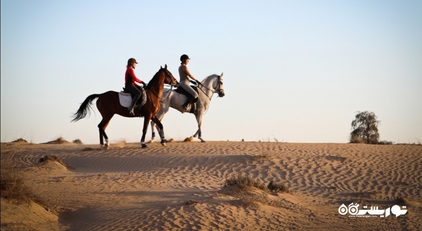 اسب سواری دبی -  شهر دبی