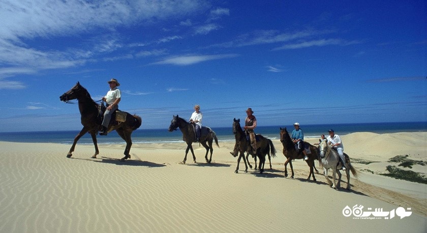 سرگرمی اسب سواری دبی شهر امارات متحده عربی کشور دبی