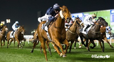 سرگرمی اسب سواری دبی شهر امارات متحده عربی کشور دبی