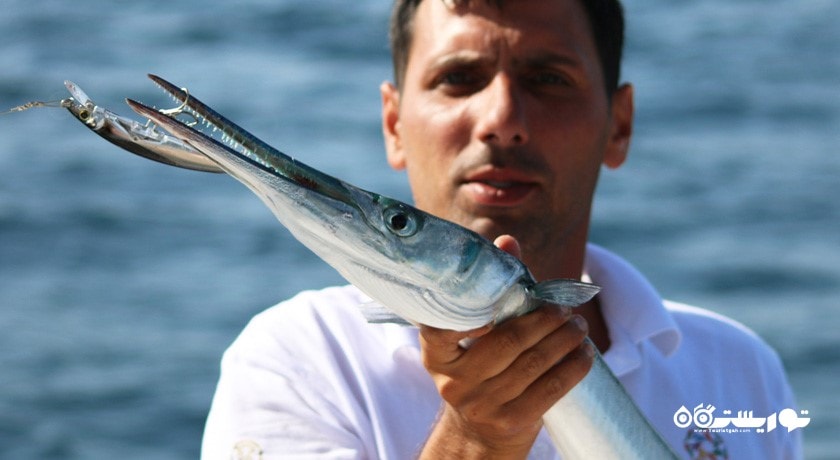 سرگرمی ماهیگیری در دبی شهر امارات متحده عربی کشور دبی