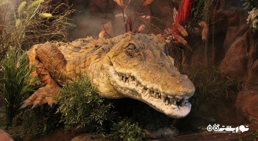 رستوران رینفارست کافه (کافه جنگل استوایی) شهر دبی 