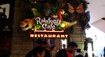 رستوران رینفارست کافه (کافه جنگل استوایی) شهر دبی 