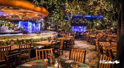 رستوران رینفارست کافه (کافه جنگل استوایی) شهر دبی 