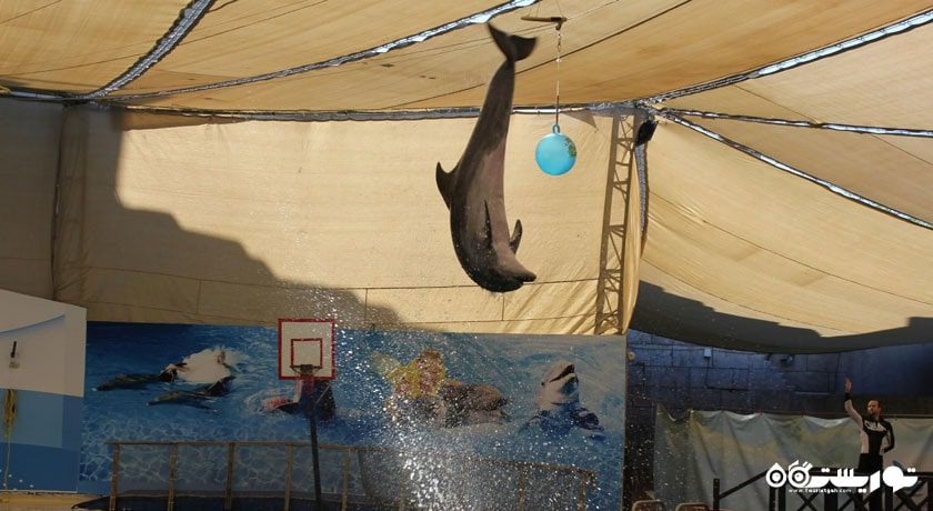 تروی آکوا (پارک آبی تروی) -  شهر آنتالیا