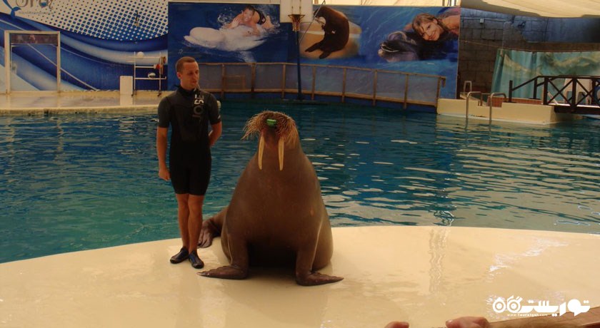 تروی آکوا (پارک آبی تروی) -  شهر آنتالیا