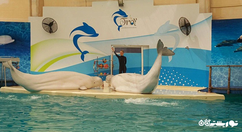 سرگرمی تروی آکوا (پارک آبی تروی) شهر ترکیه کشور آنتالیا