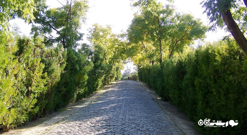  مسجد و مقبره طاووس بابا شهر ترکیه کشور قونیه