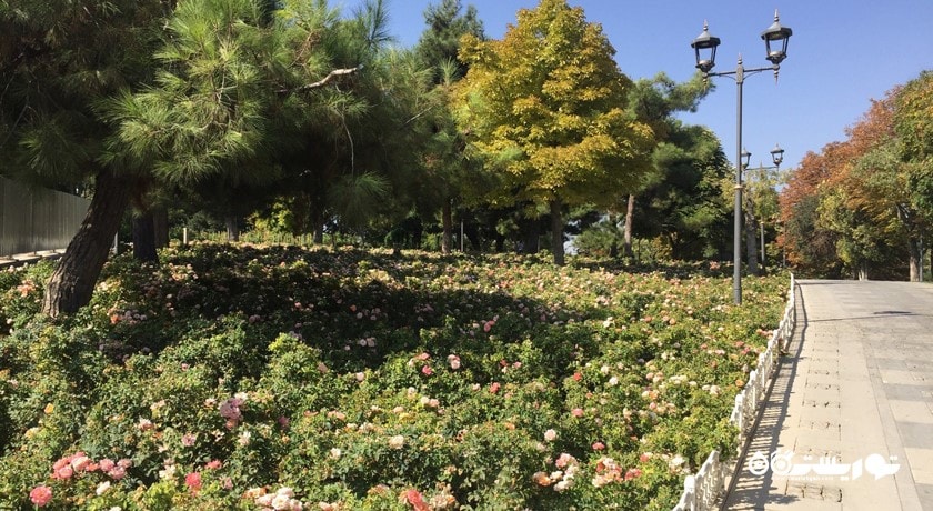  تپه و مسجد علاءالدین شهر ترکیه کشور قونیه