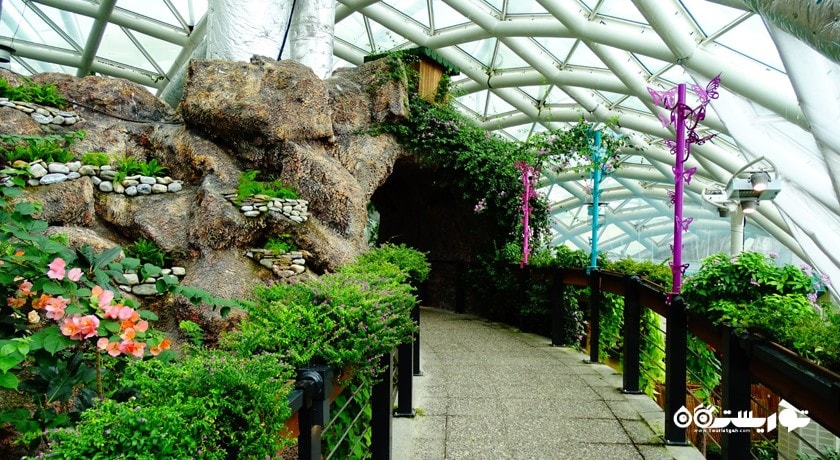 سرگرمی باغ پروانه های گرمسیری قونیه شهر ترکیه کشور قونیه