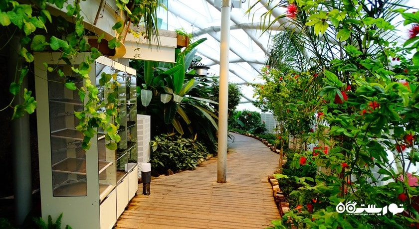 سرگرمی باغ پروانه های گرمسیری قونیه شهر ترکیه کشور قونیه