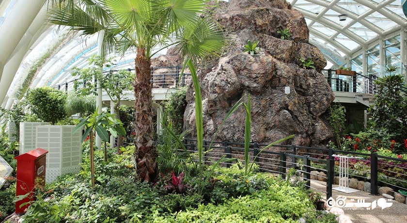 سرگرمی باغ پروانه های گرمسیری قونیه شهر ترکیه کشور قونیه