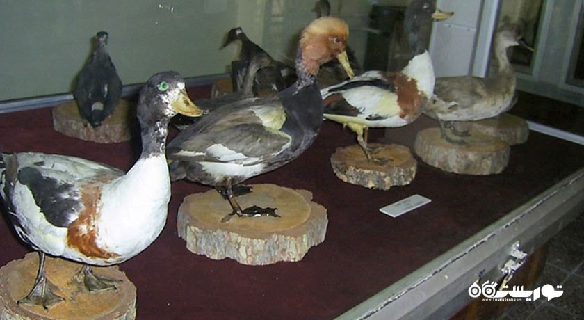  موزه و کتابخانه اختصاصی شهرداری عزت کویون اوغلو شهر ترکیه کشور قونیه