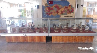  موزه و کتابخانه اختصاصی شهرداری عزت کویون اوغلو شهر ترکیه کشور قونیه