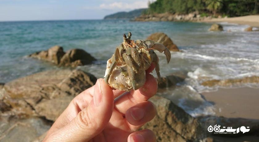 سرگرمی ساحل بنانا شهر تایلند کشور پوکت