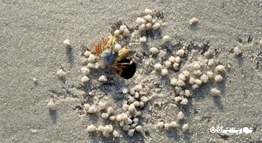 سرگرمی ساحل کاتا شهر تایلند کشور پوکت