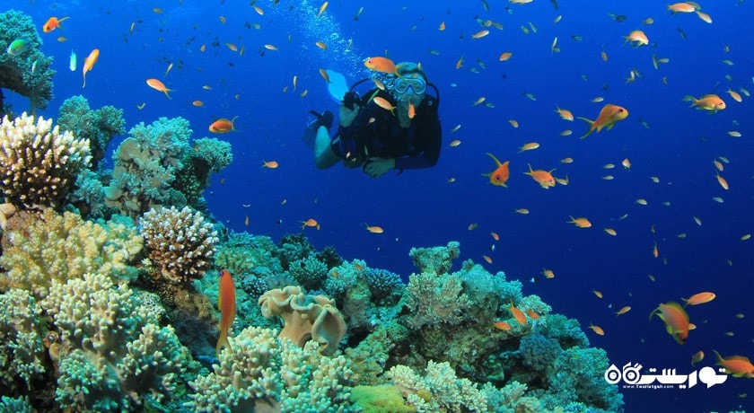 سرگرمی غواصی در پوکت شهر تایلند کشور پوکت