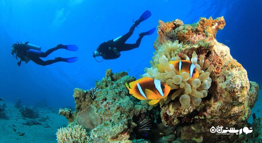 سرگرمی غواصی در پوکت شهر تایلند کشور پوکت