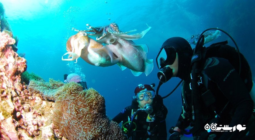 سرگرمی غواصی در پوکت شهر تایلند کشور پوکت