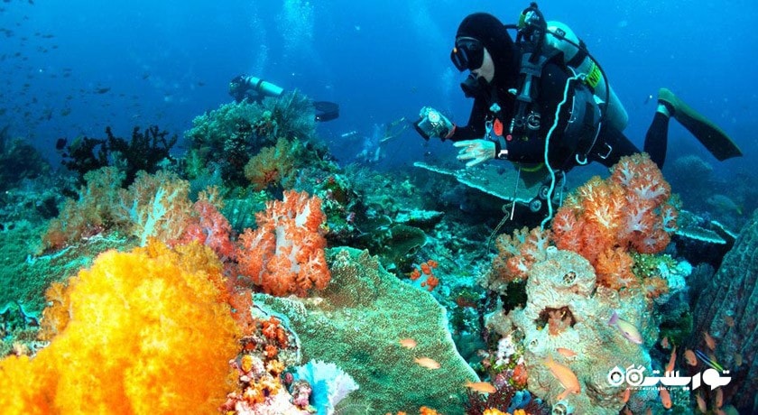 سرگرمی غواصی در پوکت شهر تایلند کشور پوکت