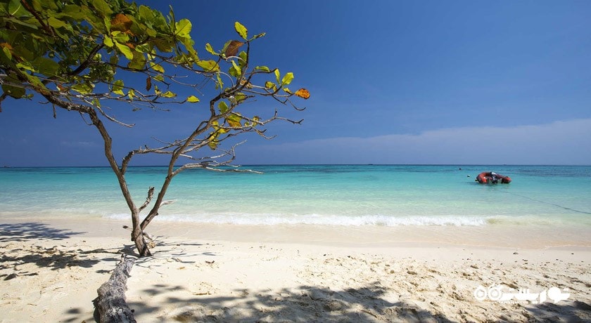 سرگرمی قایق و کشتی سواری شهر تایلند کشور پوکت