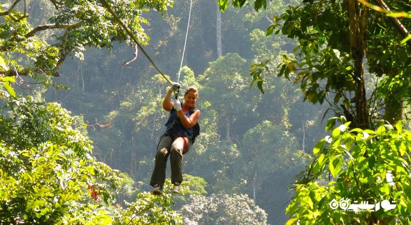 زیپ لاین -  شهر پوکت