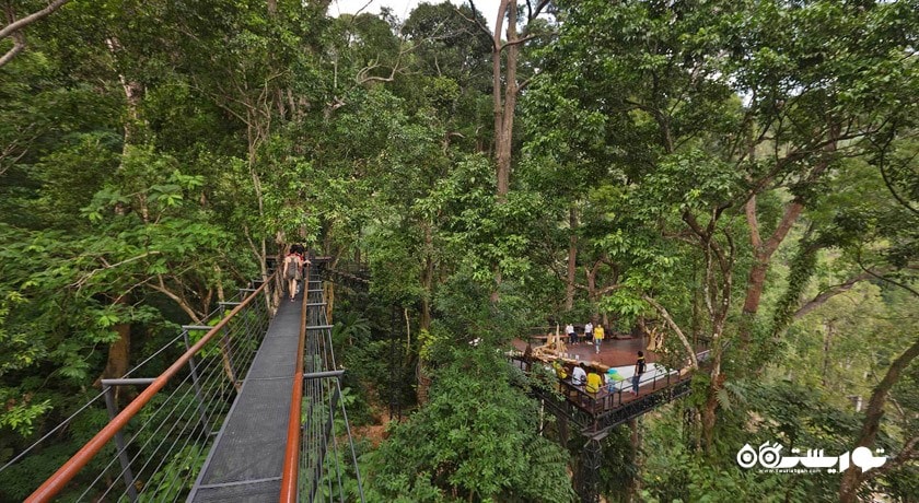 سرگرمی زیپ لاین شهر تایلند کشور پوکت