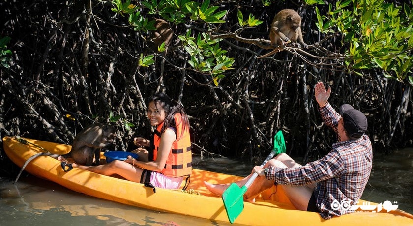 کایاک سواری -  شهر پوکت