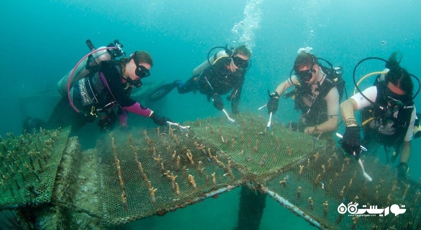 سرگرمی جزایر فی فی شهر تایلند کشور پوکت