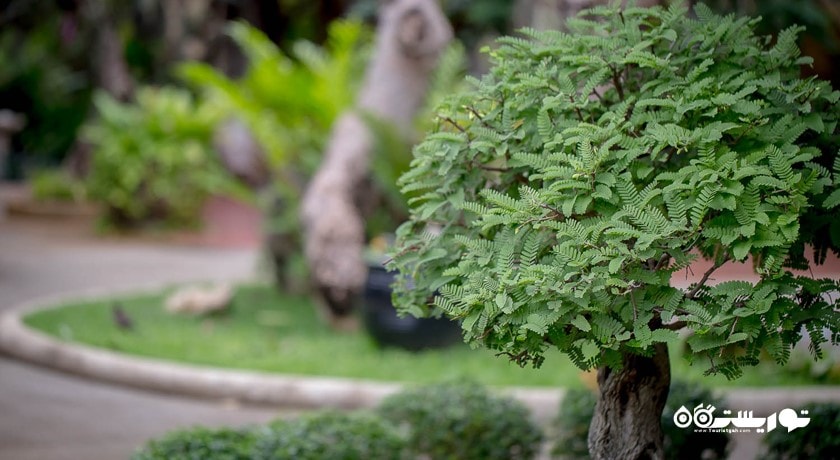 سرگرمی باغ گیاه شناسی پوکت شهر تایلند کشور پوکت