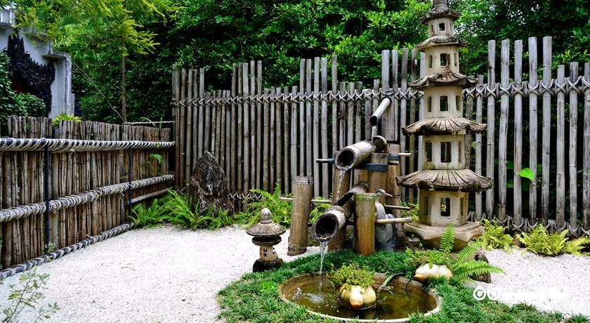 سرگرمی باغ گیاه شناسی پوکت شهر تایلند کشور پوکت