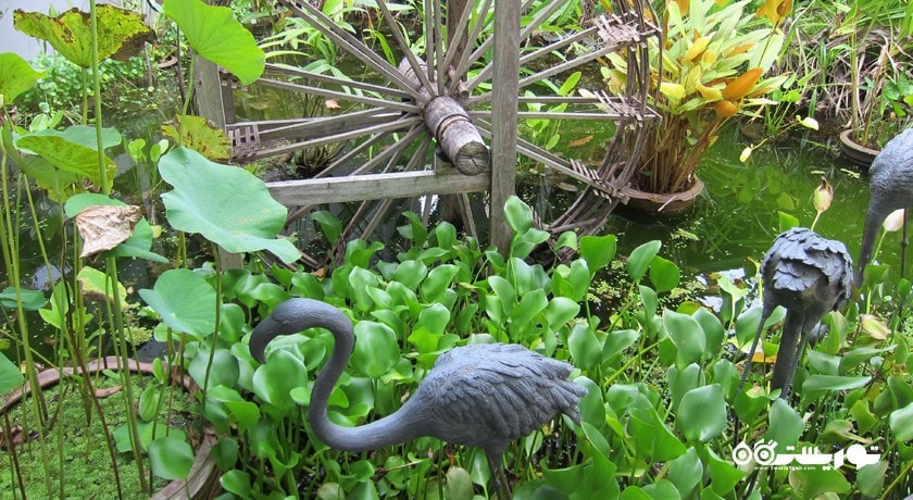 سرگرمی باغ گیاه شناسی پوکت شهر تایلند کشور پوکت