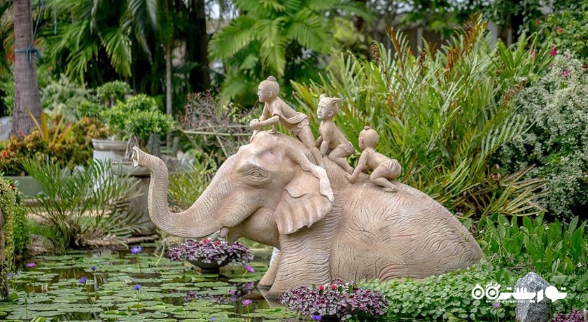 سرگرمی باغ گیاه شناسی پوکت شهر تایلند کشور پوکت