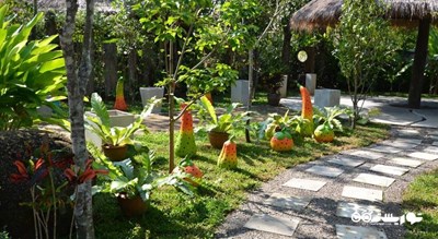 سرگرمی باغ گیاه شناسی پوکت شهر تایلند کشور پوکت