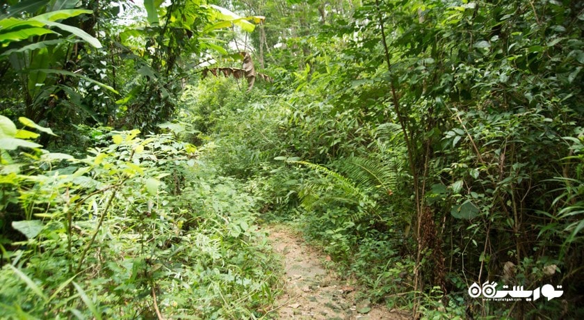 آبشار کتو -  شهر پوکت