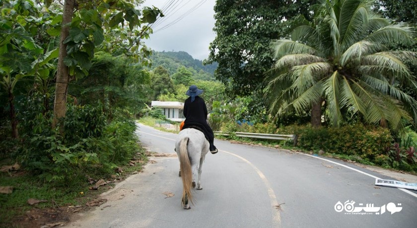 سرگرمی آبشار کتو شهر تایلند کشور پوکت
