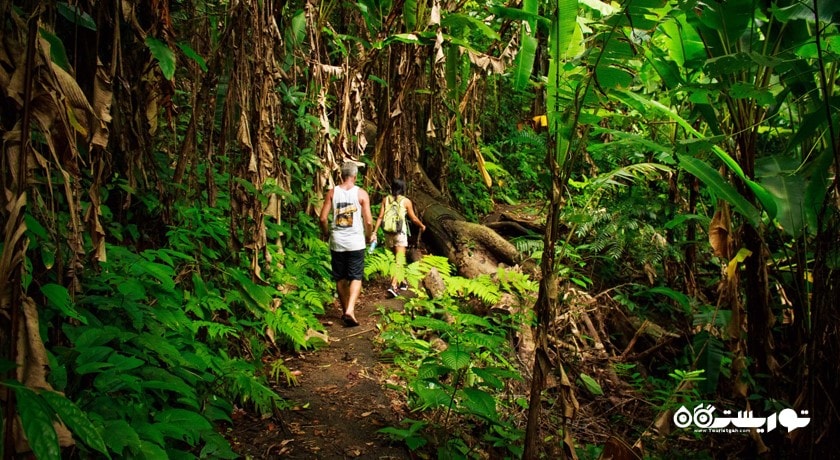 پارک ملی کا پرا تائو -  شهر پوکت