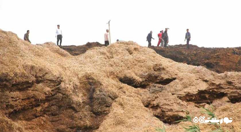  هفت تپه شهرستان خوزستان استان شوش