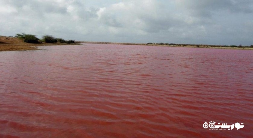  تالاب لیپار شهرستان سیستان و بلوچستان استان چابهار