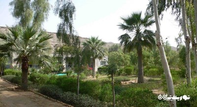 تیس -  شهر سیستان و بلوچستان