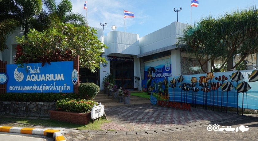 سرگرمی آکواریوم پوکت شهر تایلند کشور پوکت