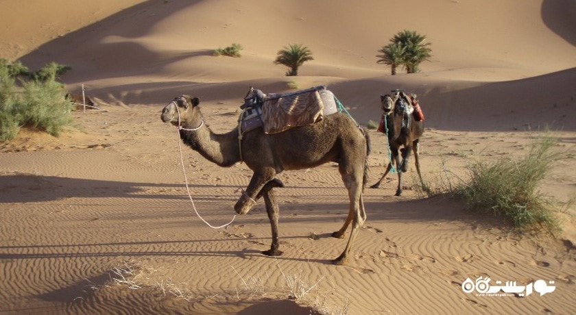  کویر مصر شهرستان اصفهان استان خور  و بیابانک