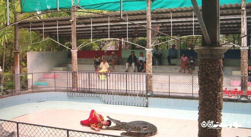 سرگرمی باغ وحش پوکت شهر تایلند کشور پوکت