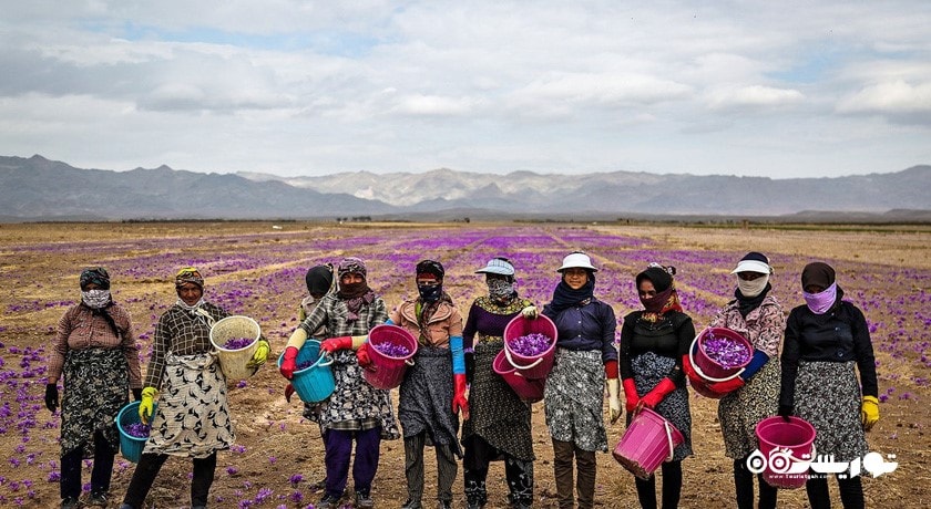 تربت حیدریه -  شهر خراسان رضوی