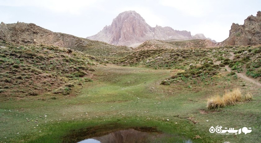 تربت حیدریه -  شهر خراسان رضوی