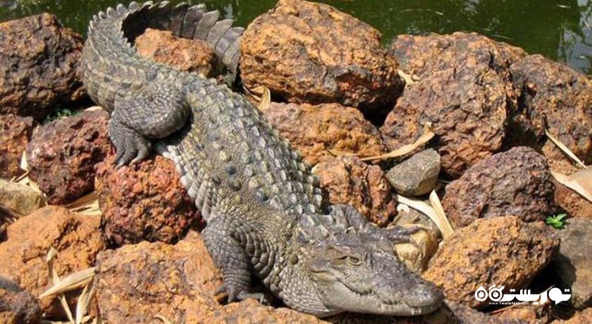 رودخانه باهوکلات -  شهر سیستان و بلوچستان