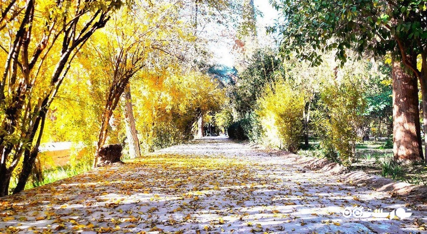 باغ گلشن -  شهر خراسان جنوبی