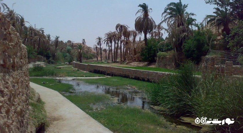 روستای ازمیغان -  شهر خراسان جنوبی